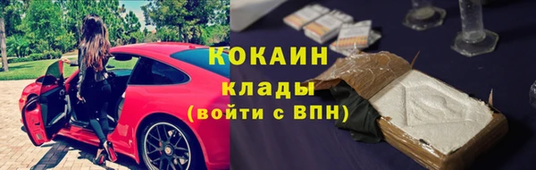 дживик Алексин