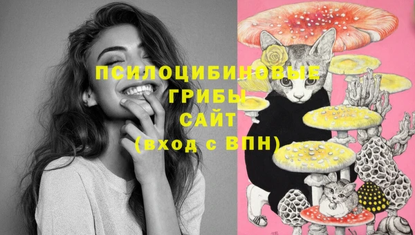 spice Алексеевка