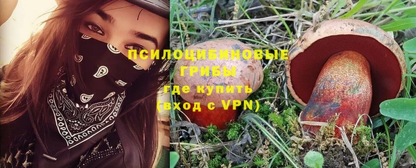 дживик Алексин