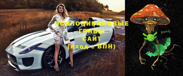 гидропоника Алзамай