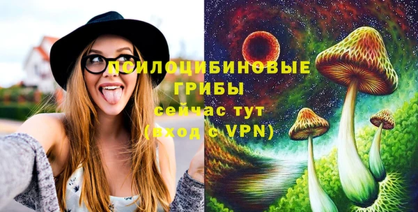 spice Алексеевка