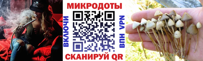 Галлюциногенные грибы Psilocybine cubensis  Купить где  Талдом 
