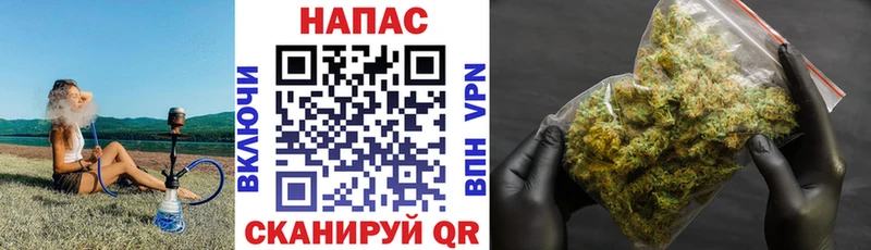 Конопля тримм  Купить где  Талдом 